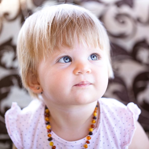 gte Rav Brnekde 36 cm