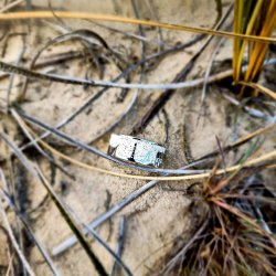 Strandring "Bl�vand"