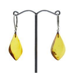Echte Bernsteinohrringe / Real Amber Earrings 