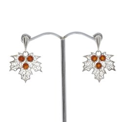 En sd druedrbe -  rav og slv reringe