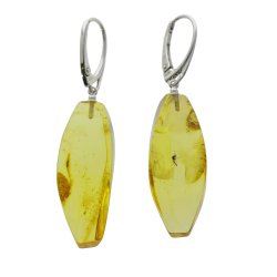 Unikke ravreringe med insekt, hndlavede og polerede, fanger Jurassic -periodens sknhed 