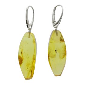 Unikke ravreringe med insekt, hndlavede og polerede, fanger Jurassic -periodens sknhed 