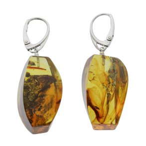 Unikke ravreringe, hndlavede og polerede, fanger Jurassic -periodens sknhed 