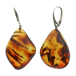 Unikke ravreringe, hndlavede og polerede, fanger Jurassic -periodens sknhed 