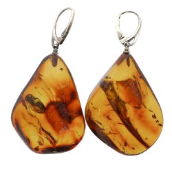 Unikke ravreringe, hndlavede og polerede, fanger Jurassic -periodens sknhed 