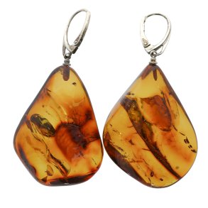 Unikke ravreringe, hndlavede og polerede, fanger Jurassic -periodens sknhed 