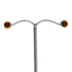 Runde Rav restikker I Forgyldt Slv 