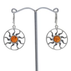 Solskins reringe I Slv Og Rav