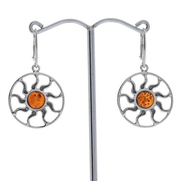 Solskins reringe I Slv Og Rav