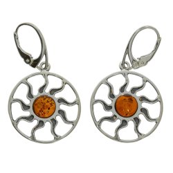 Solskins reringe I Slv Og Rav