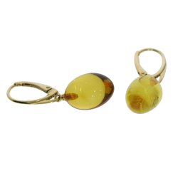 Aflange Elipseformet Rav reringe I Forgyldt Slv 