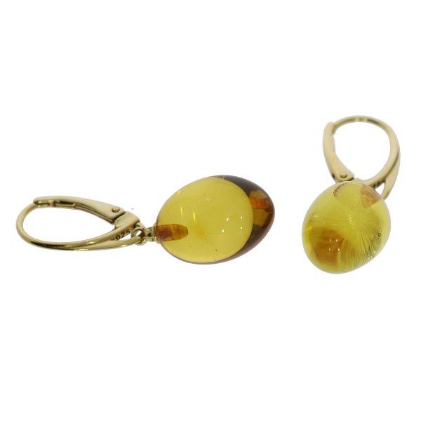 Aflange Elipseformet Rav reringe I Forgyldt Slv 