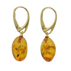 Der Leuchtende Tropfen - Bernstein Ohrringe vergoldet