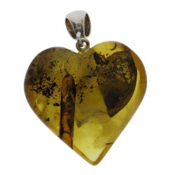 Det Unikke Og Smukke Nords-vesterhvs Ravhjerte