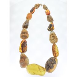 Enestende Ravkde Med Store Naturformet Ravstykker