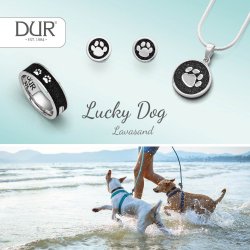 Vedhng "Lucky Dog" med lava sand