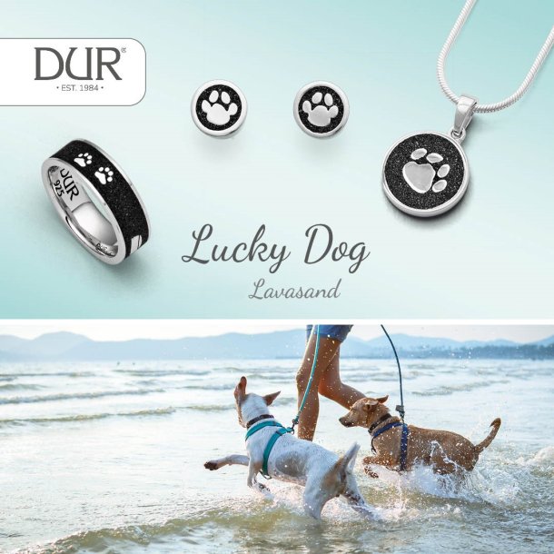 Vedhng "Lucky Dog" med lava sand