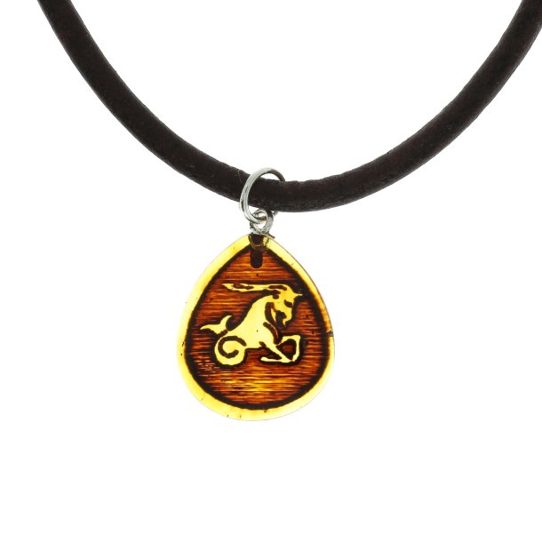 Steinbock 22/12- 20/01 