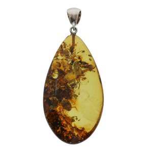 Einzigartiger Bernstein Anh�nger