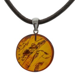 Runder Nordsee Bernstein Anh�nger