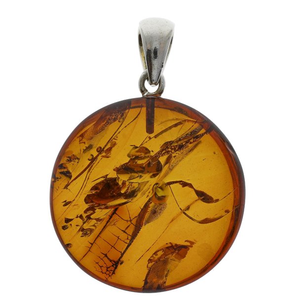Runder Nordsee Bernstein Anh�nger