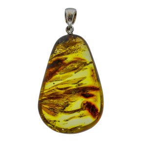 Einzigartiges St�ck aus der Nordsee mit Sedimenten aus der Jurazeit