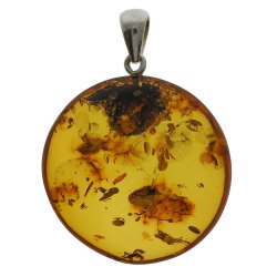 Ein �Solar Plexus� Anh�nger aus nat�rlich nordischem Bernstein