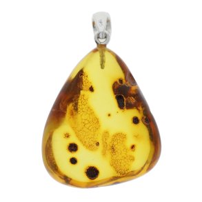 Unik Rav Vedhng Med Sedimenter Fra Juratiden