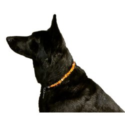 Hundehalskder af rav mod flter med metalls - ca. 42-48 cm