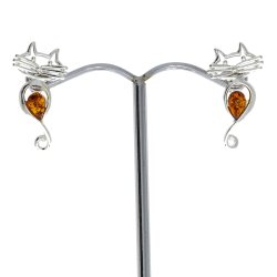 Katte restikker I Slv Og Rav