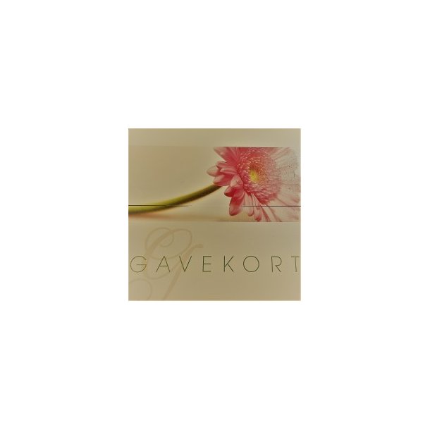 Gavekort / Gift Card / Geschenkkarte 300 DKK