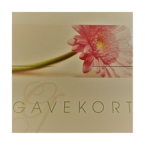 Geschenkkarte 100 DKK