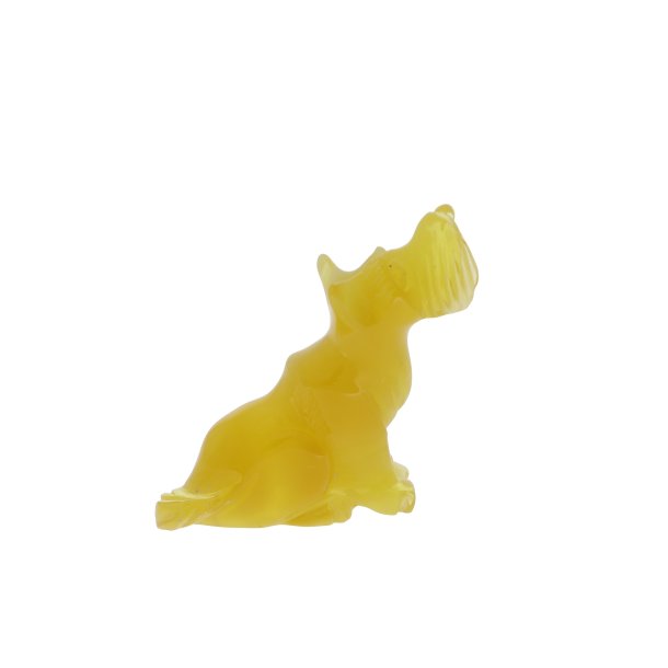 H�ndsk�ret Ravhund