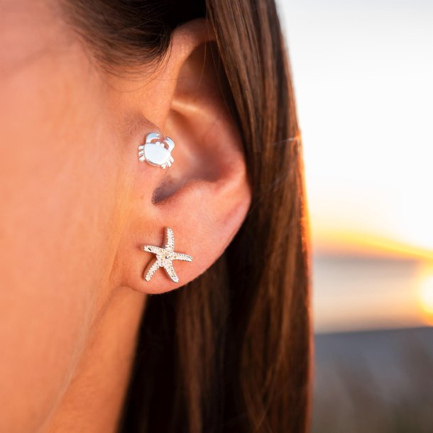 Sstjerne restikker med strandsand 