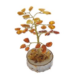 Mellem Stor Hndlavet Ravtr