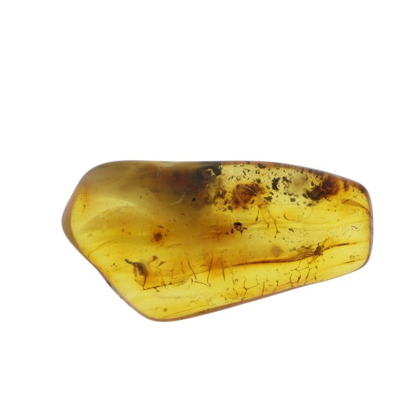 Rav med insekter / Amber with insects 0013