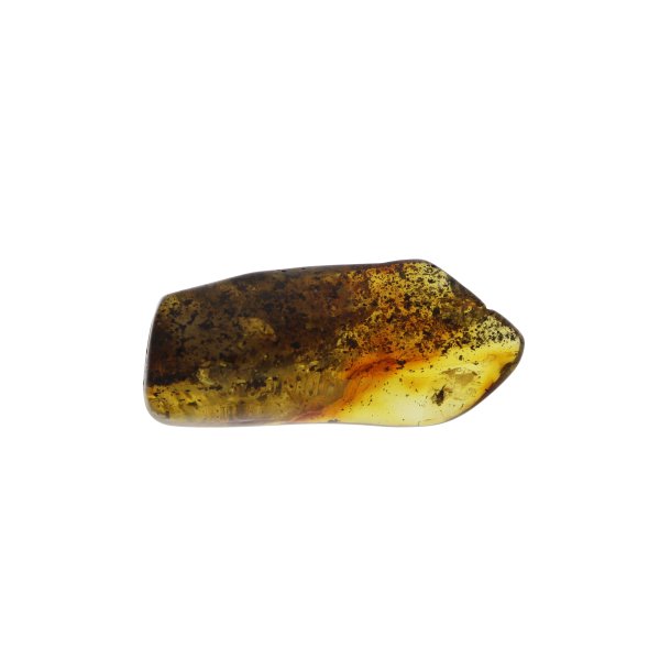 Rav med insekter / Amber with insects 0016