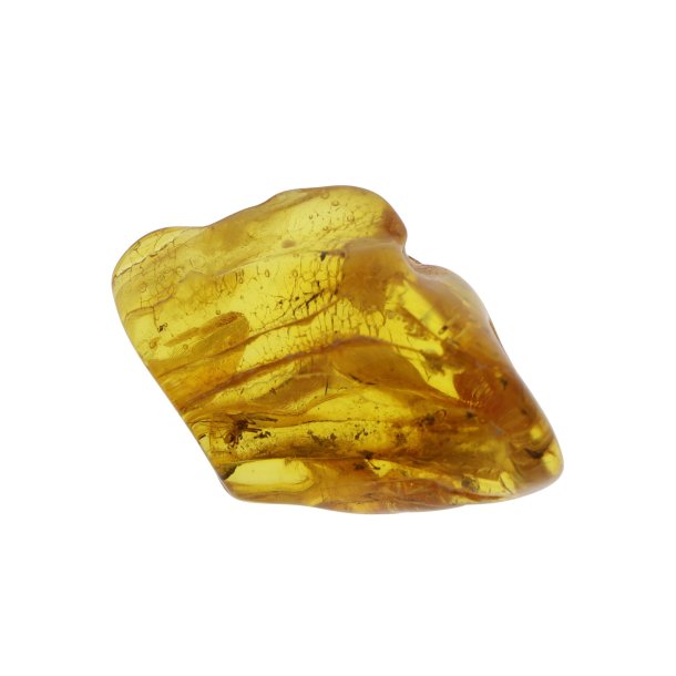 Rav med insekter / Amber with insects 0023