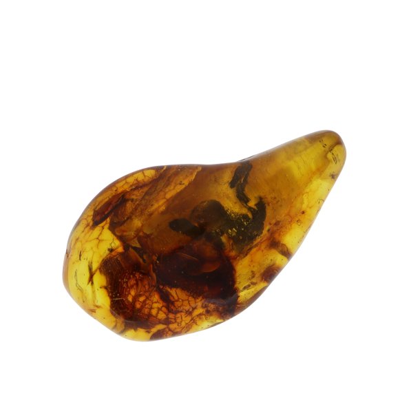 Rav med insekter / Amber with insects 0027