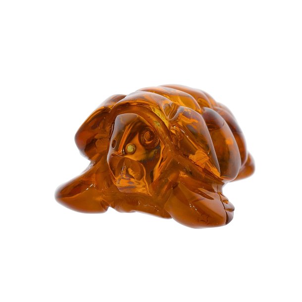 Hndlavet Rav Skildpadde