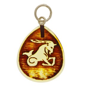 Stenbukken / Capricorn / Steinbock 22/12- 20/01 