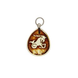 Steinbock 22/12- 20/01 