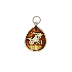 Stenbukken / Capricorn / Steinbock 22/12- 20/01 