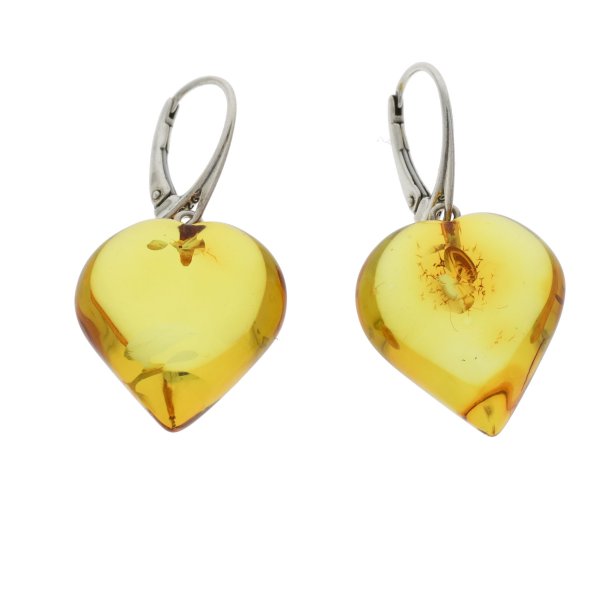 Store gte Rav  hjerte reringe  / Amber heart Earrings 