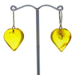 Store gte Rav  hjerte reringe  / Amber heart Earrings 